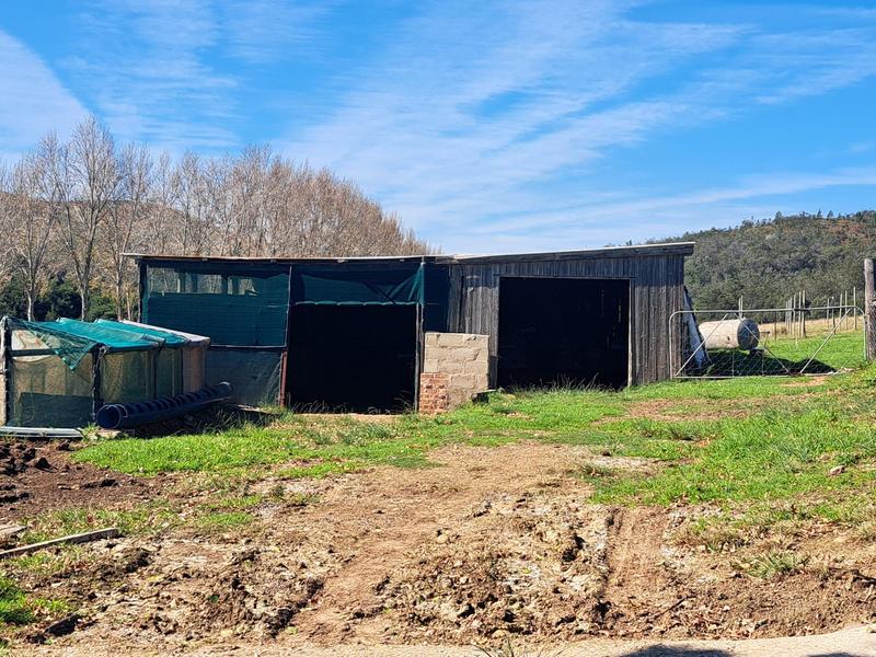 0 Bedroom Property for Sale in Kareedouw Eastern Cape